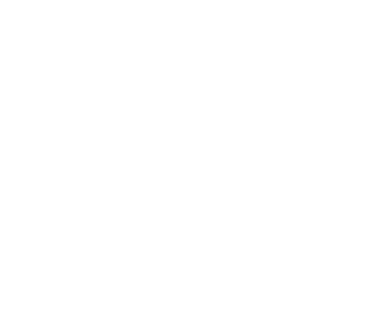 logo-faevyt